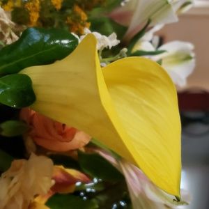 Meet your Posher, Margaret